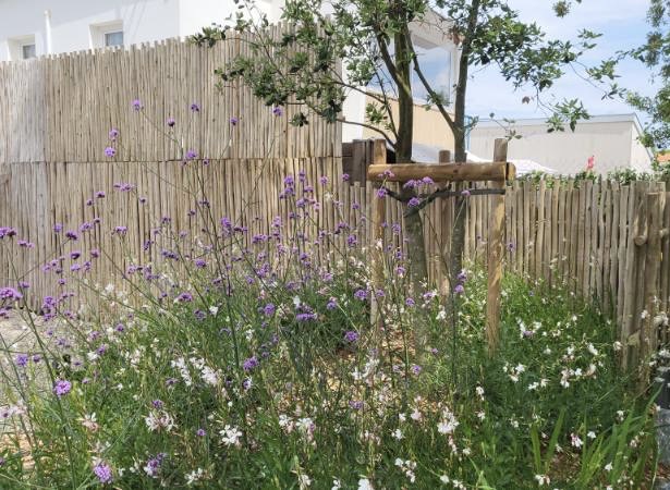 Création de jardin
